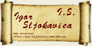 Igor Šljokavica vizit kartica